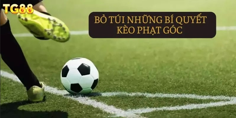 Các ưu đãi dành cho người mới tham gia