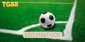 Lý do tại sao “Kèo phạt góc”lại được đông đảo người chơi ủng hộ